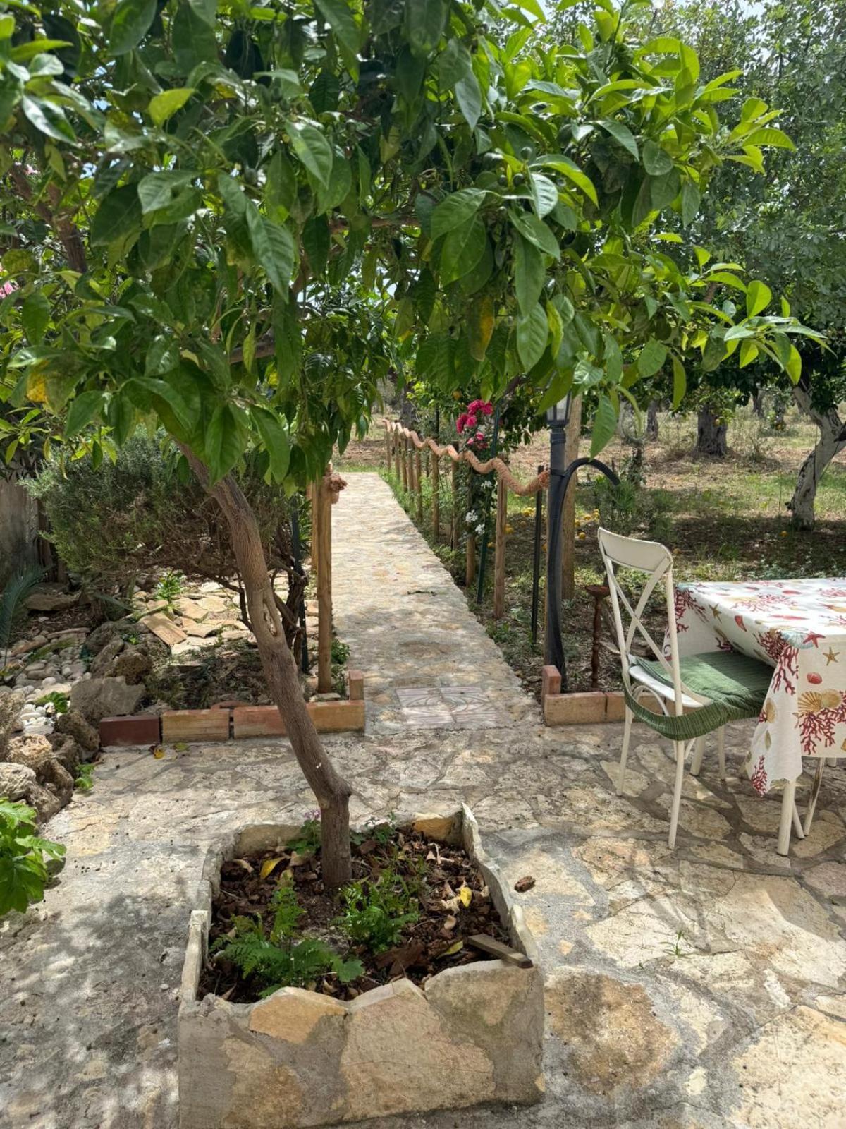 Le Macine 1868 Bed and Breakfast Paceco Εξωτερικό φωτογραφία